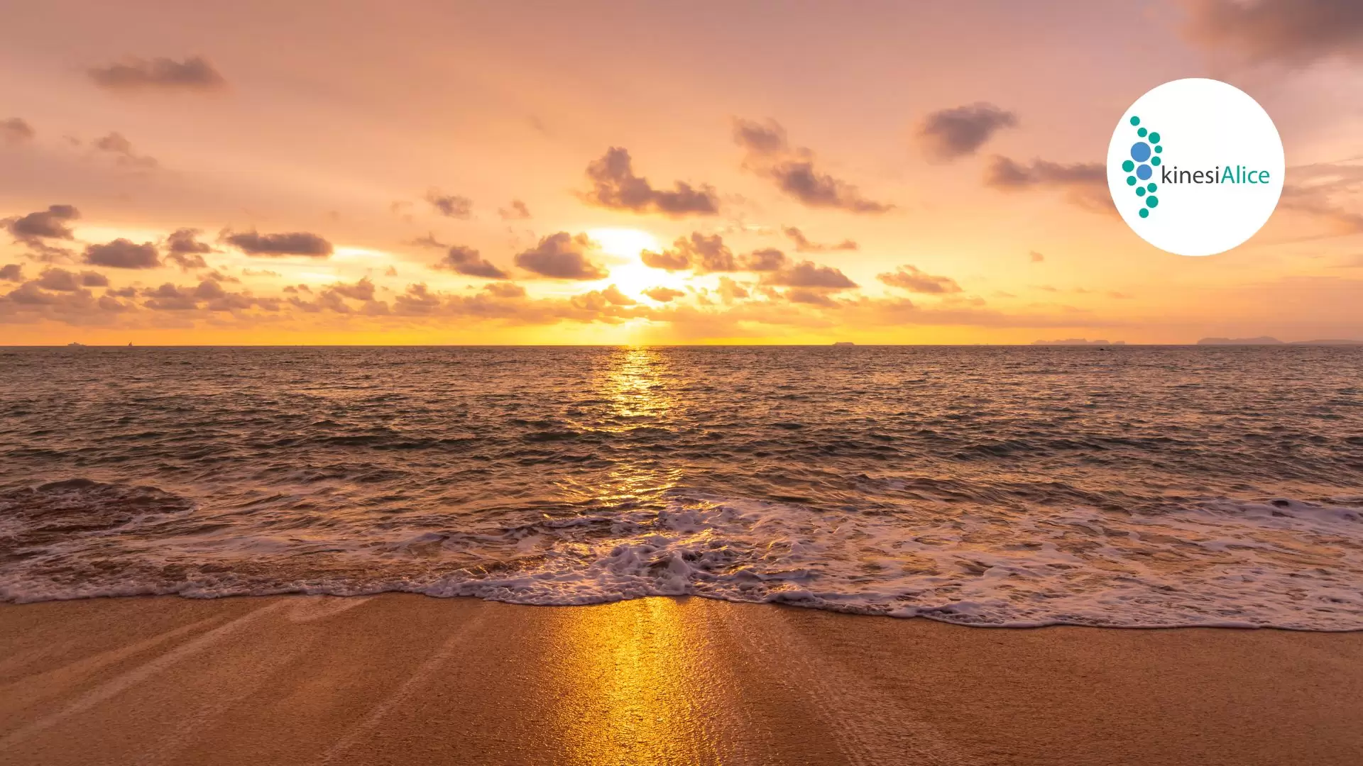 Embracing Personal Integrity