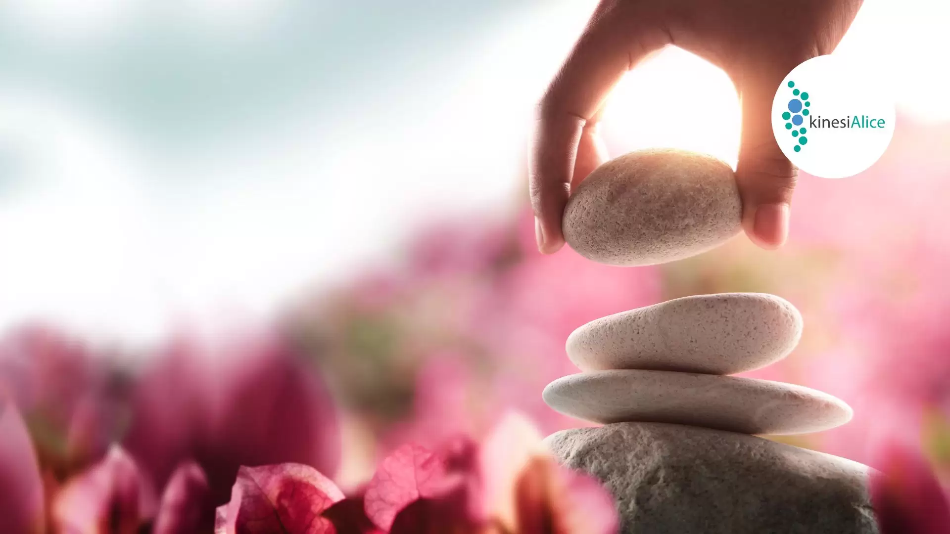 Intentional Wellness