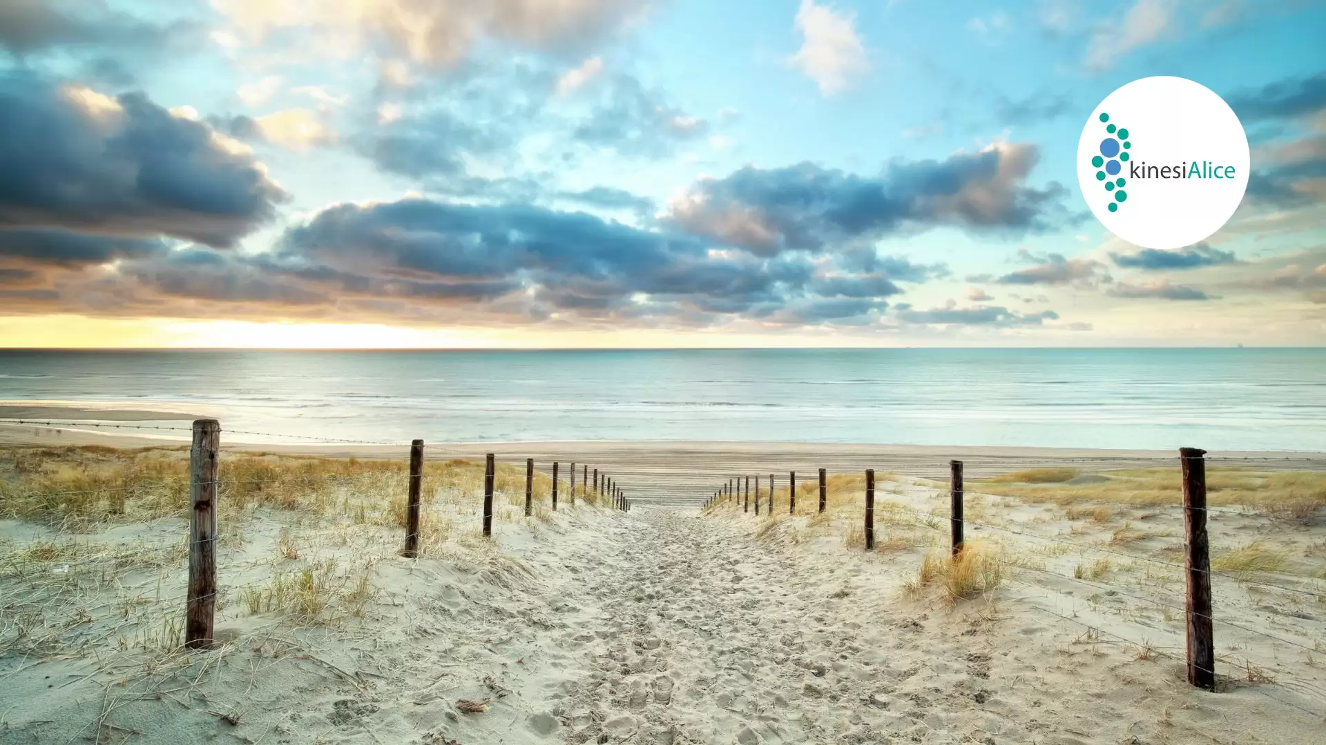 The Natural Path To Mental Wellness