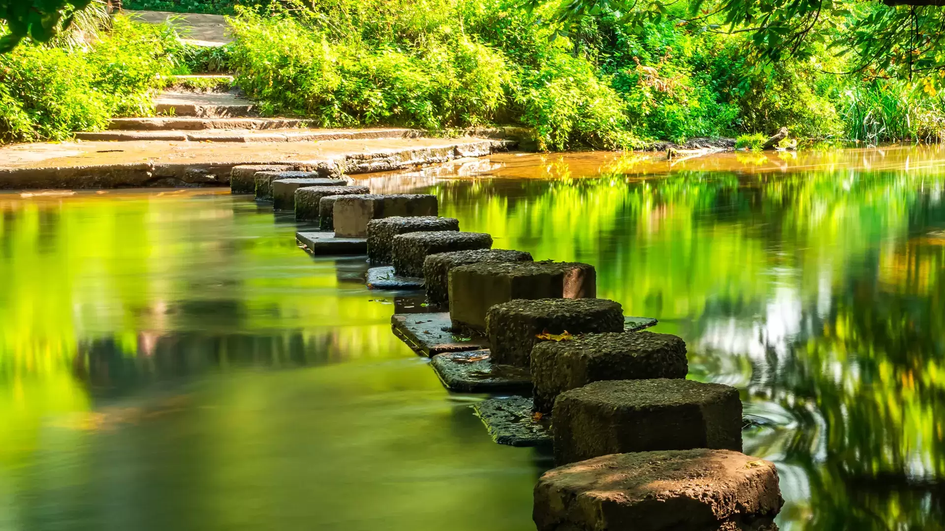 Week 1 – Laying the Foundations