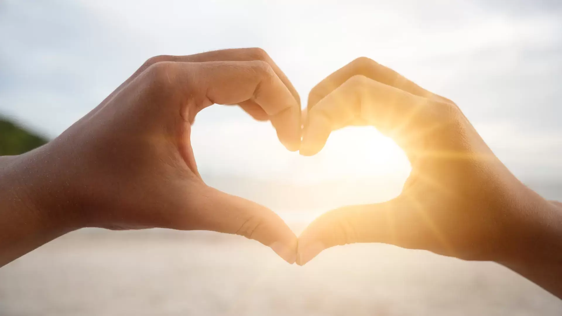 Build Your Wellness Business with Confidence & Clarity